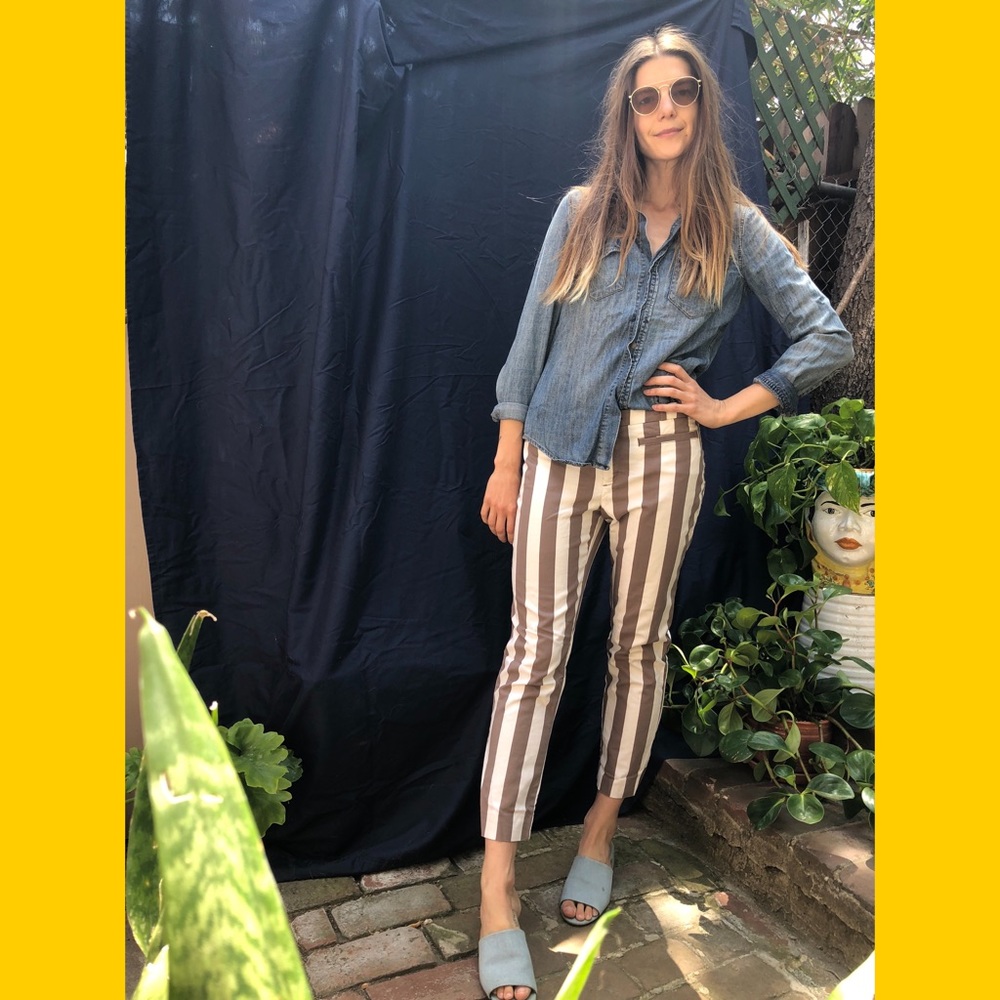 Anthropologie Charlie Trousers in Stripe | size 6